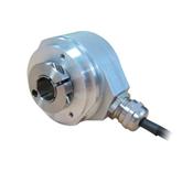 ELCO˿EI58W12-H6AR-1024.4LBS01
